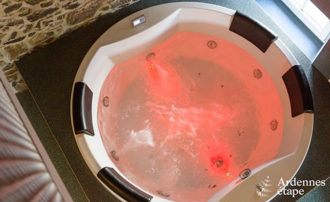 Villa de Luxe � Butgenbach (Heppenbach) pour 24 personnes en Ardenne