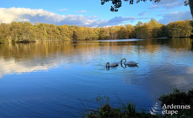 Grande maison de vacances � Charleville pour 15 personnes avec 7 chambres, sauna, poele � pellets et terrasse priv�e au bord de l'eau