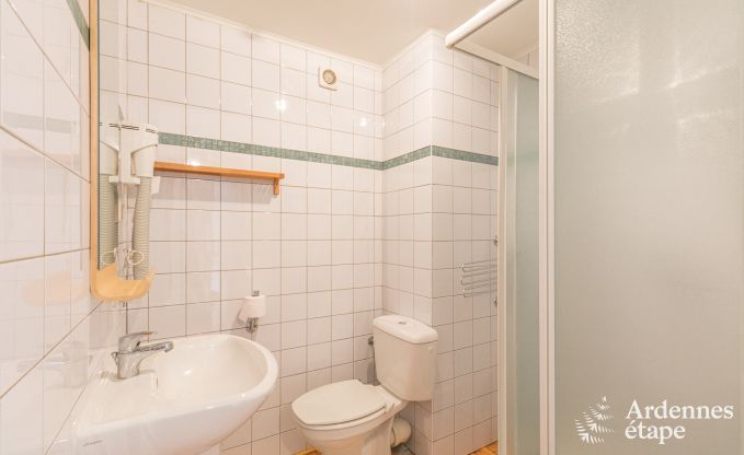 Gite de charme � Chassepierre pour 12 personnes en Ardenne