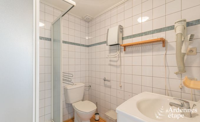 Gite de charme � Chassepierre pour 12 personnes en Ardenne