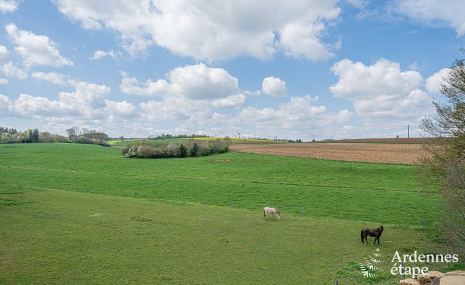 Maison de vacances de luxe  Ciney : maison pour 8 personnes avec piscine intrieure, sauna et jardin priv