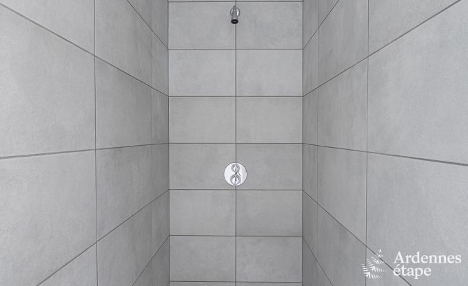 Gite de charme  Couvin pour 8 personnes en Ardenne