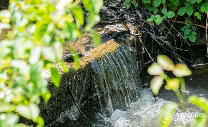 Gite de charme  Couvin pour 2 personnes en Ardenne