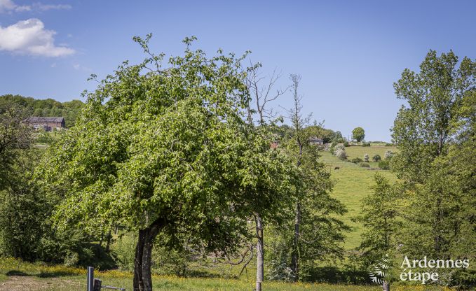 Maison de vacances  Couvin pour 8 personnes en Ardenne