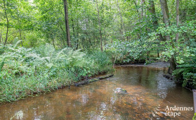 Maison de vacances  Couvin pour 8/9 personnes en Ardenne