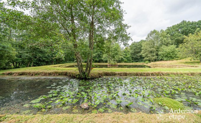 Maison de vacances avec piscine et tang de pche  Couvin, Ardenne