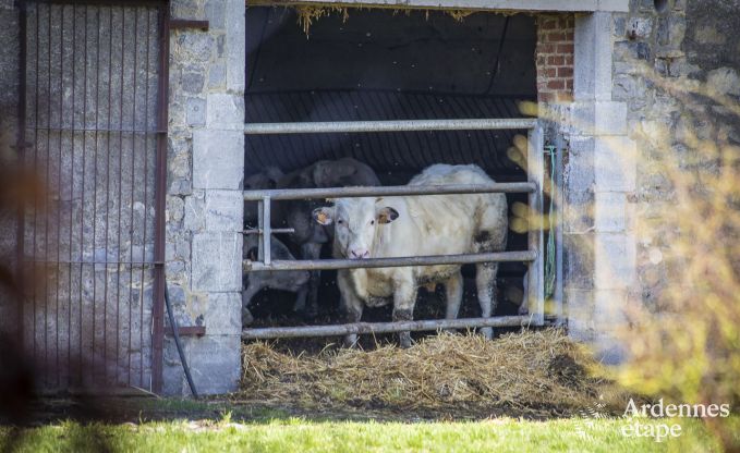 Vacances  la ferme  Couvin pour 6 personnes en Ardenne