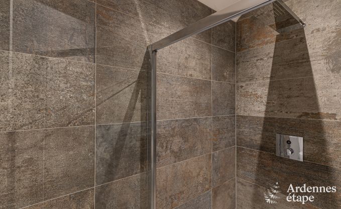 Gite de charme � Couvin pour 18 personnes en Ardenne