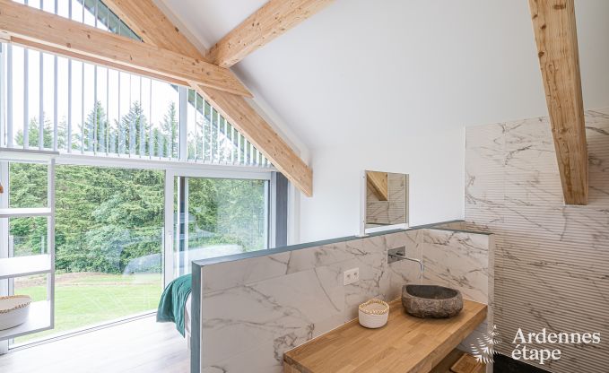 Villa de luxe Daverdisse, 10 chambres, 9 salles de bains, piscine, jacuzzi, sauna, salle de jeux, proche fort et rivire