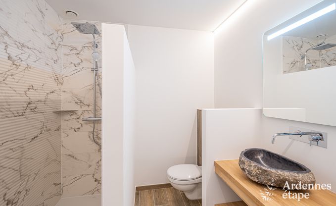 Villa de luxe Daverdisse, 10 chambres, 9 salles de bains, piscine, jacuzzi, sauna, salle de jeux, proche fort et rivire