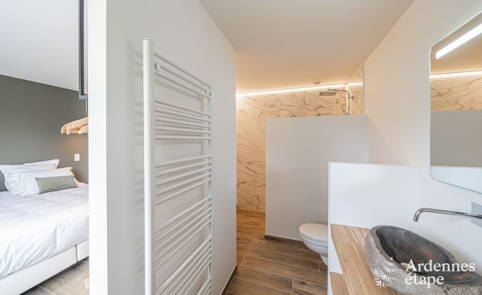 Villa de luxe Daverdisse, 10 chambres, 9 salles de bains, piscine, jacuzzi, sauna, salle de jeux, proche fort et rivire