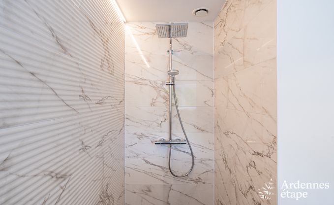 Villa de luxe Daverdisse, 10 chambres, 9 salles de bains, piscine, jacuzzi, sauna, salle de jeux, proche fort et rivire