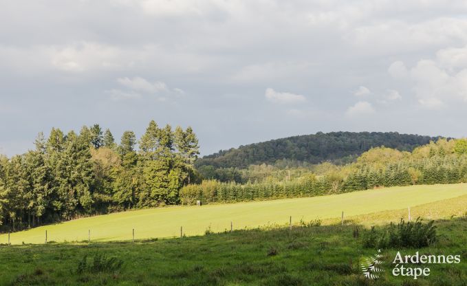 Gite de charme  Dinant pour 12 personnes en Ardenne