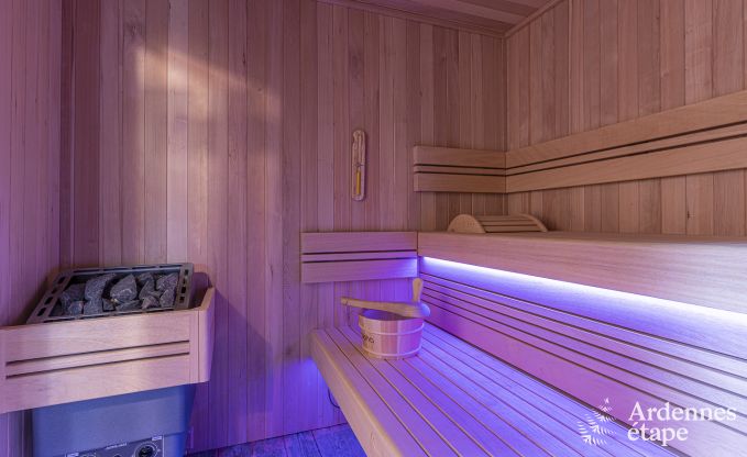 Villa de Luxe  Dinant pour 12 personnes en Ardenne