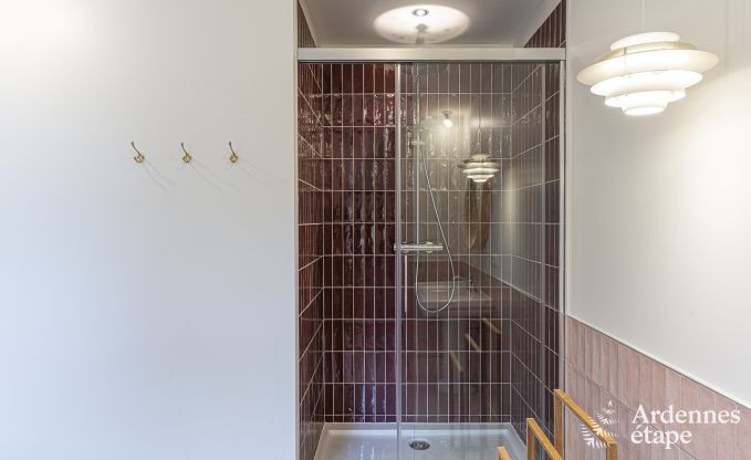 Villa de Luxe  Dinant pour 12 personnes en Ardenne