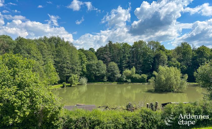 Villa de Luxe  Dinant pour 12 personnes en Ardenne