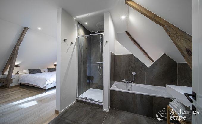 Villa de luxe pour 14 personnes à Dinant en Ardenne
