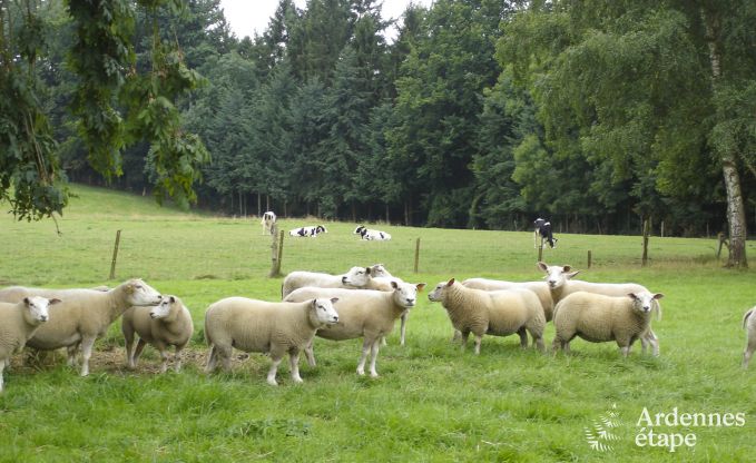 Maison de vacances  Dinant pour 6 personnes en Ardenne