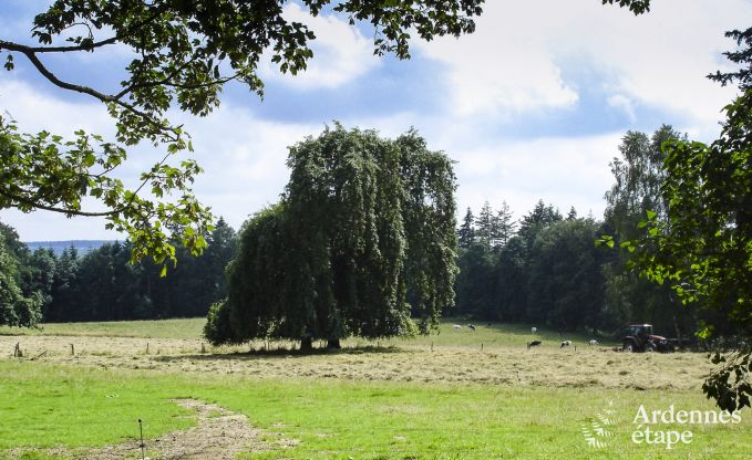 Maison de vacances  Dinant pour 6 personnes en Ardenne