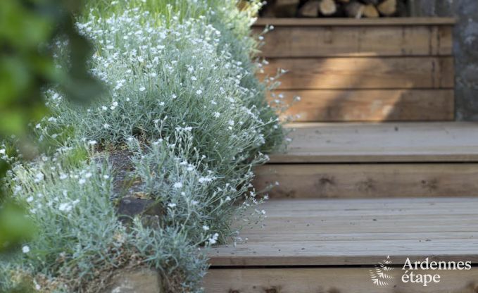 Maison de vacances  Dinant pour 8 personnes en Ardenne