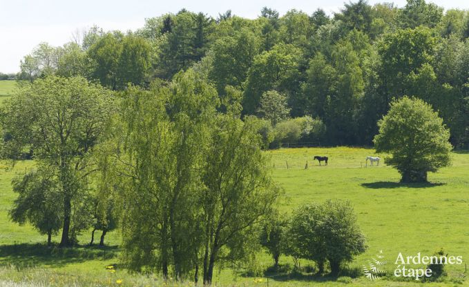 Maison de vacances  Dinant pour 8 personnes en Ardenne
