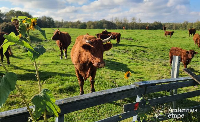 Maison de vacances  Doische pour 9 personnes en Ardenne