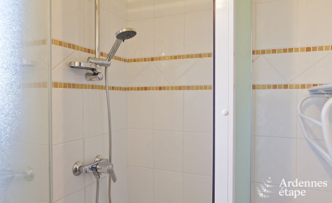 Villa de Luxe  Durbuy (Heyd) pour 12 personnes en Ardenne