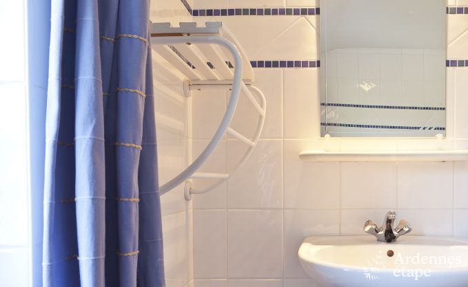 Villa de Luxe  Durbuy (Heyd) pour 12 personnes en Ardenne