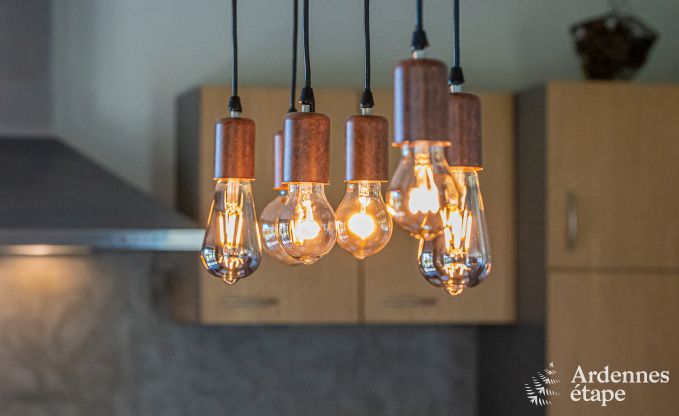 Villa de Luxe  Durbuy (Heyd) pour 12 personnes en Ardenne