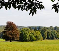 Château à Durbuy pour 9 personnes en Ardenne