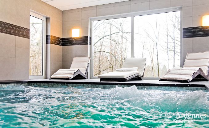 Villa de luxe avec piscine et centre wellness pour 9 pers. à Durbuy