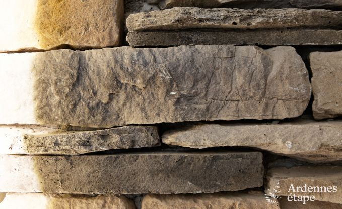 Villa de Luxe  Durbuy pour 4 personnes en Ardenne