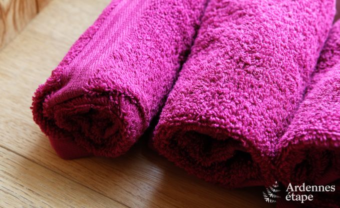 Villa de Luxe  Durbuy pour 4 personnes en Ardenne