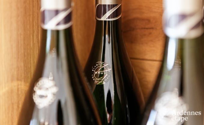 Villa de Luxe  Durbuy pour 4 personnes en Ardenne