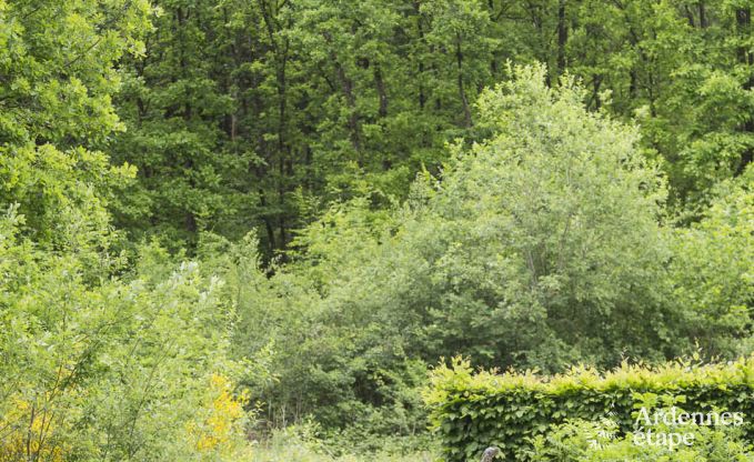 Chalet � Durbuy pour 6 personnes en Ardenne