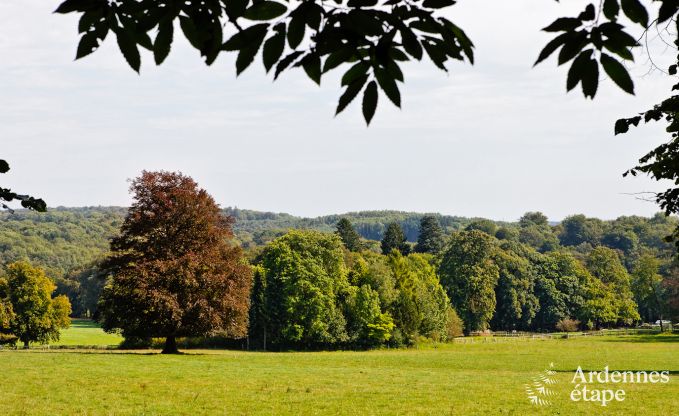 Ch�teau � Durbuy pour 9 personnes en Ardenne