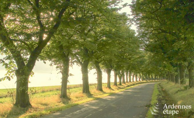 Ch�teau � Durbuy pour 9 personnes en Ardenne