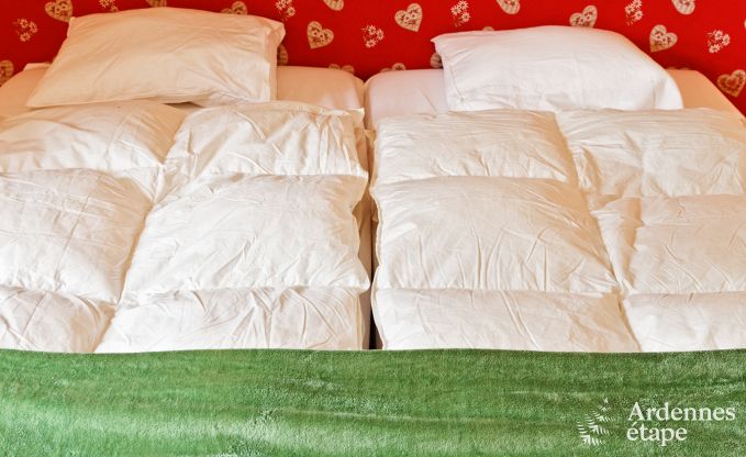 Ch�teau � Durbuy pour 9 personnes en Ardenne