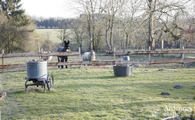 Maison de vacances � Durbuy pour 9 personnes en Ardenne