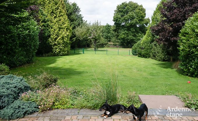 Maison de vacances � Durbuy pour 6 personnes en Ardenne