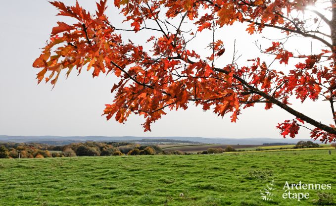 Maison de vacances spacieuse � Durbuy : h�bergement pour 26 personnes avec �quipements modernes en Ardenne