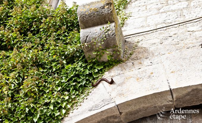 Maison de vacances spacieuse � Durbuy : h�bergement pour 26 personnes avec �quipements modernes en Ardenne