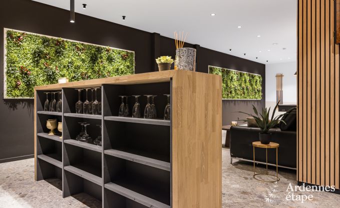 Villa de Luxe � Durbuy pour 14 personnes en Ardenne