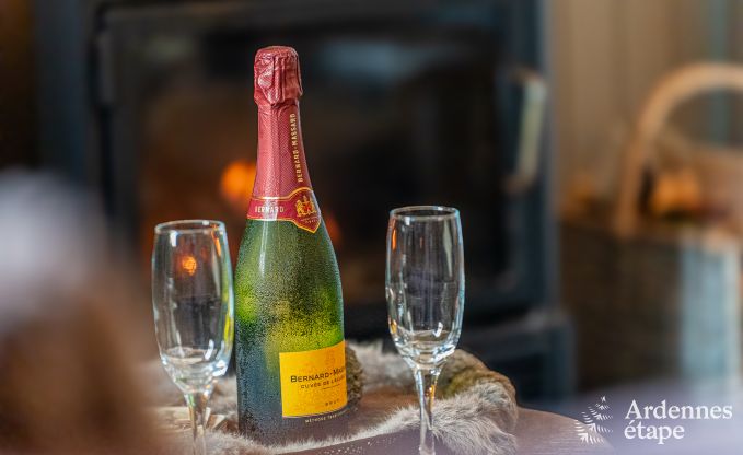 Charmante maison de vacances pour 6 personnes  reze avec 3 chambres, terrasse prive et poele  pellets prs de la tranquille rivire Aisne