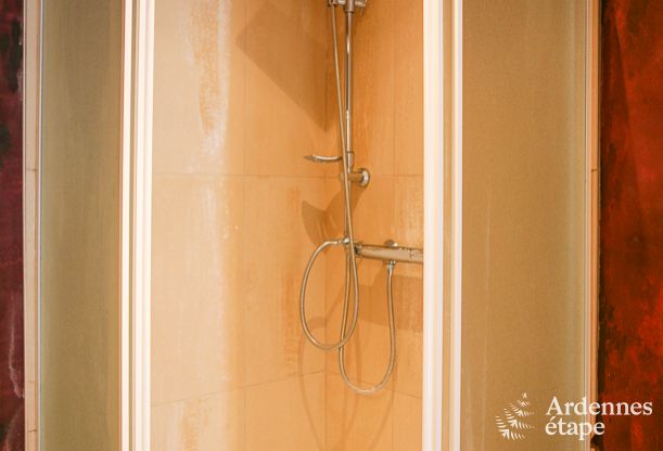 Maison spacieuse 12 personnes  Ereze, 6 chambres, sauna, jacuzzi, salle de jeux, Ardenne