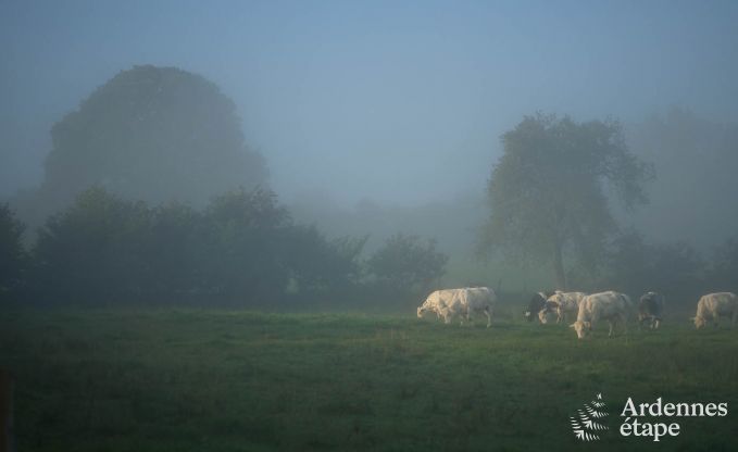 Gte insolite  Ereze pour 2 personnes en Ardenne