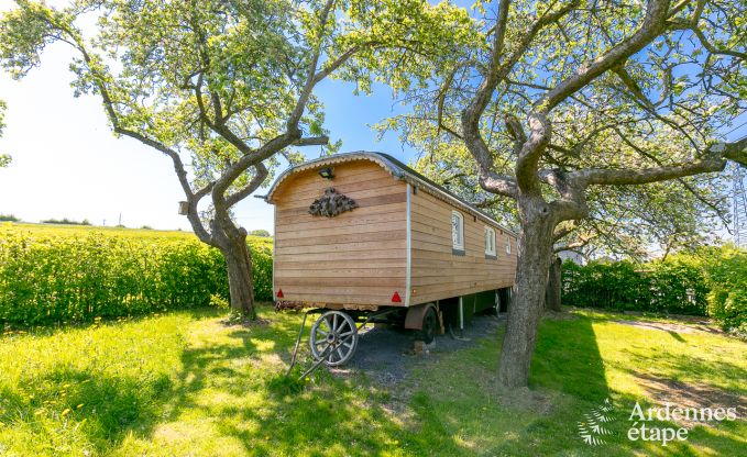 G�te insolite � Erezee pour 2/3 personnes en Ardenne