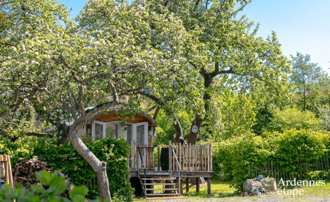 G�te insolite � Erezee pour 2/3 personnes en Ardenne