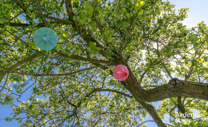 G�te insolite � Erezee pour 2/3 personnes en Ardenne