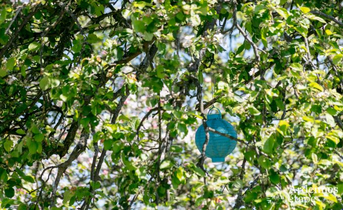 G�te insolite � Erezee pour 2/3 personnes en Ardenne